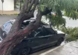 Temporal com ventos de 101 km/h derruba 43 árvores e causa estragos em Taubaté