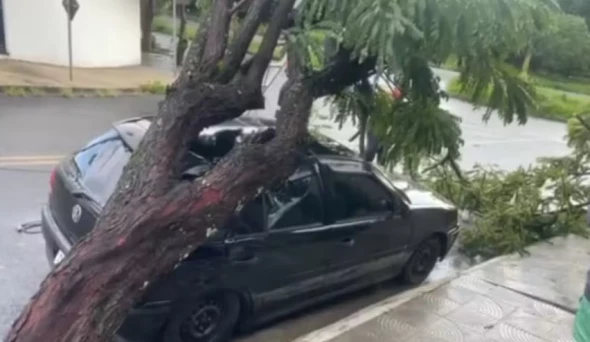 Temporal com ventos de 101 km/h derruba 43 árvores e causa estragos em Taubaté