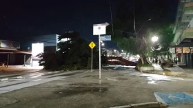 Avenida Independência é interditada após queda de árvore em Taubaté