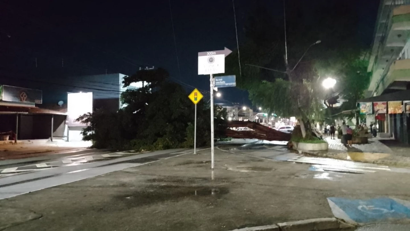 Avenida Independência é interditada após queda de árvore em Taubaté