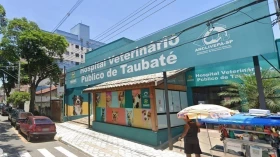 Hospital veterinário público de Taubaté é alvo de criminosos