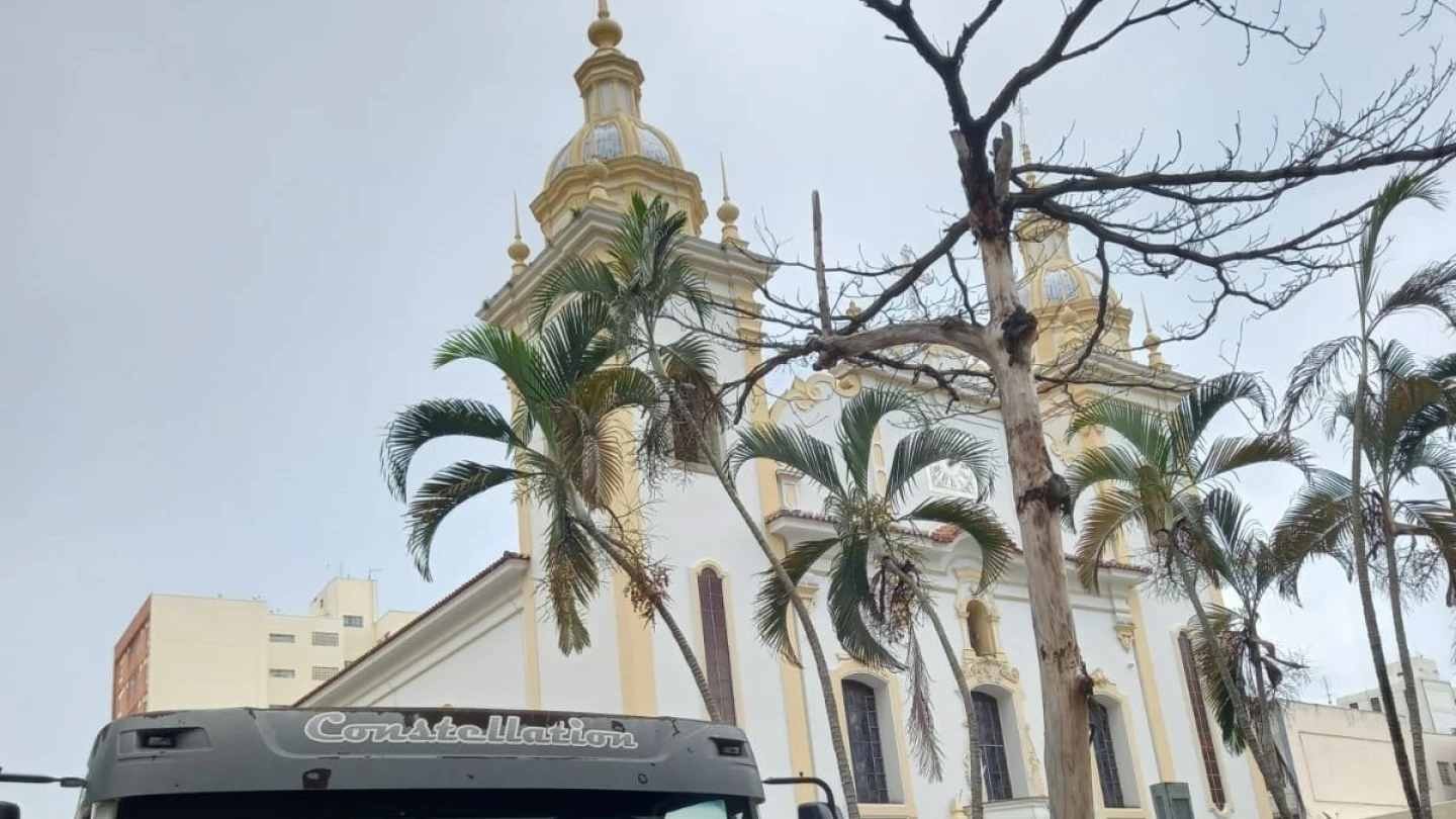 Árvore com risco de queda na praça Dom Epaminondas é retirada pela prefeitura
