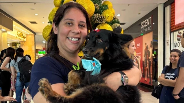 Feira de Adoção Pet promove ação consciente envolvendo cães e gatos no Taubaté Shopping
