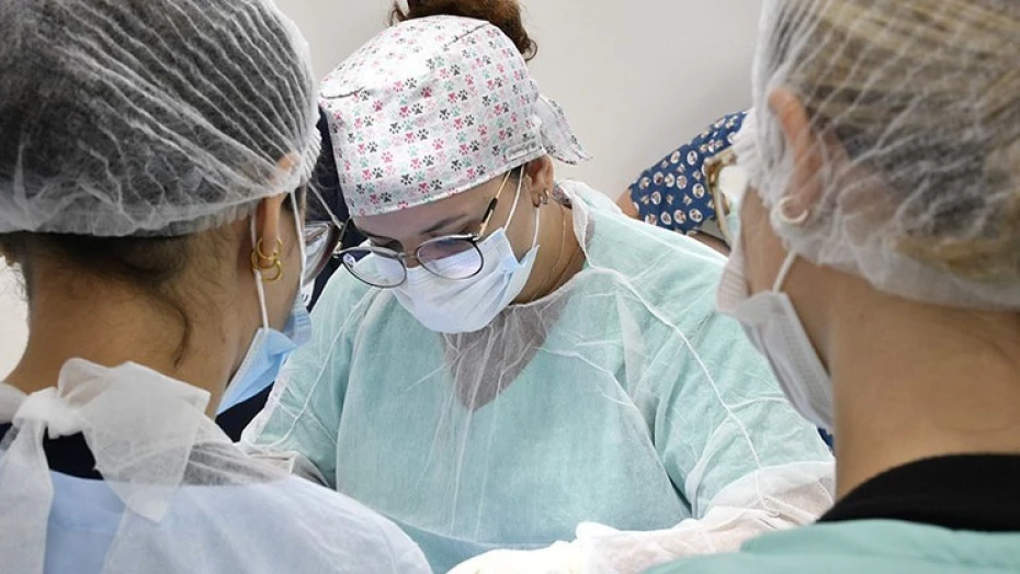 UNITAU abre inscrições para Vestibular de Inverno Cursos 2025 UNITAU abre inscrições para Vestibular de Inverno Cursos 2025
