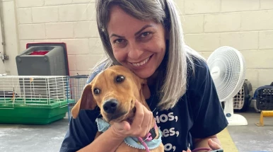 Feiras promovem adoção de treze animais em Taubaté Feiras promovem adoção de treze animais em Taubaté