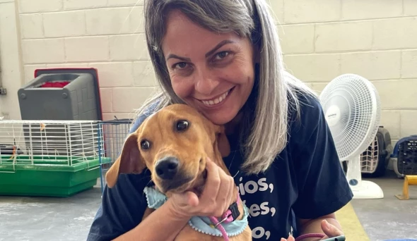Feiras promovem adoção de treze animais em Taubaté Feiras promovem adoção de treze animais em Taubaté