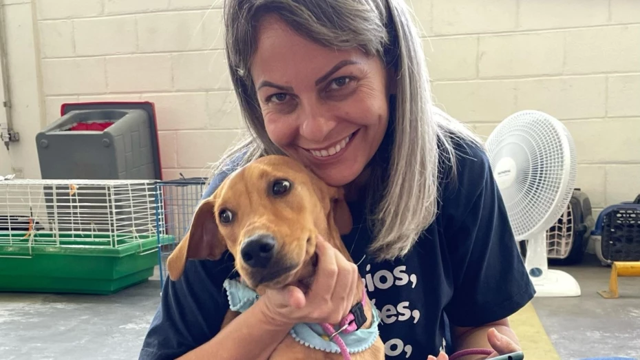 Feiras promovem adoção de treze animais em Taubaté Feiras promovem adoção de treze animais em Taubaté