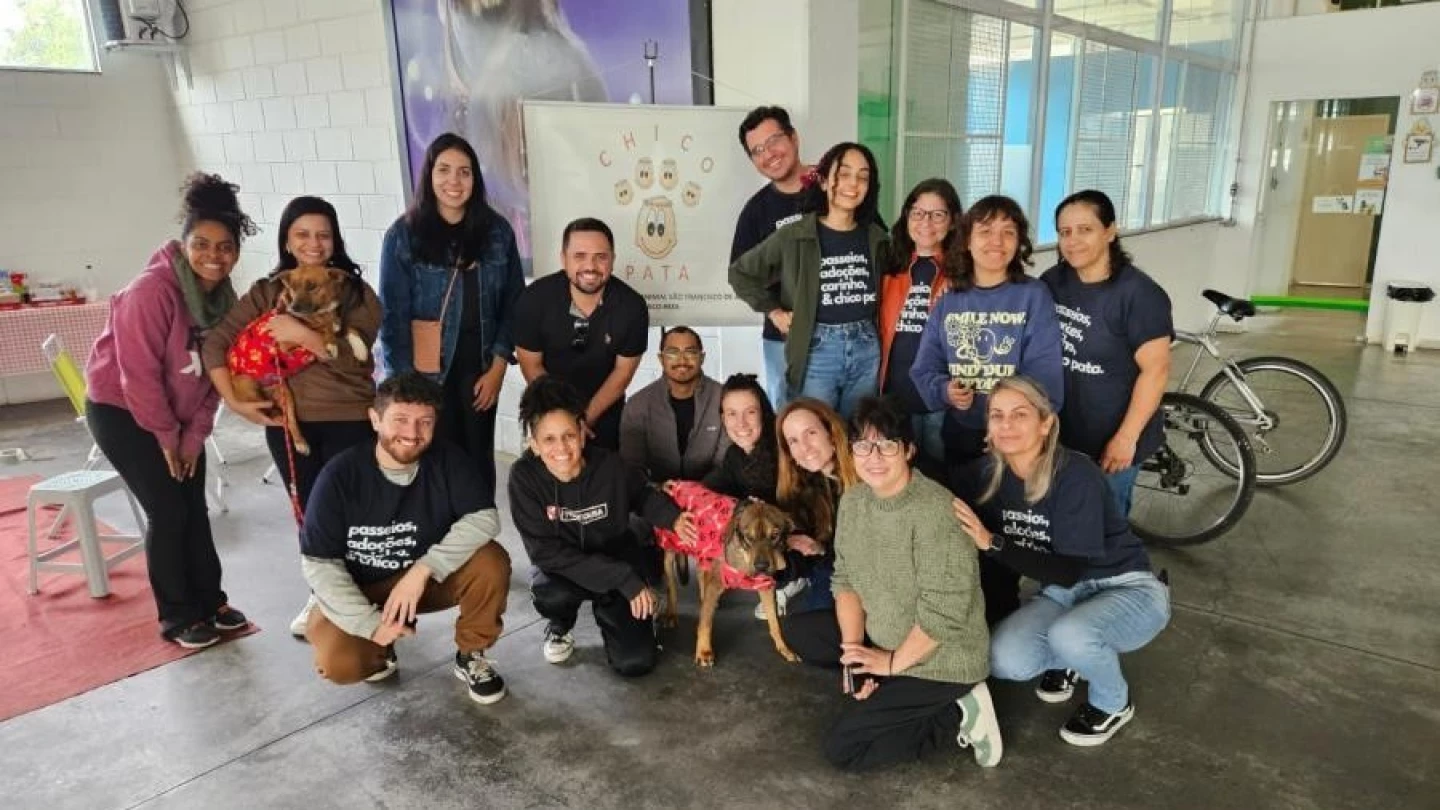 Feira promove adoção de seis animais neste final de semana em Taubaté