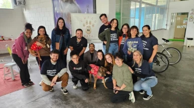 Feira promove adoção de seis animais neste final de semana em Taubaté Feira promove adoção de seis animais neste final de semana em Taubaté