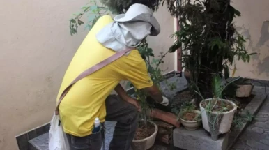 Mais de 140 foram multados em Taubaté em ações contra dengue Mais de 140 foram multados em Taubaté em ações contra dengue