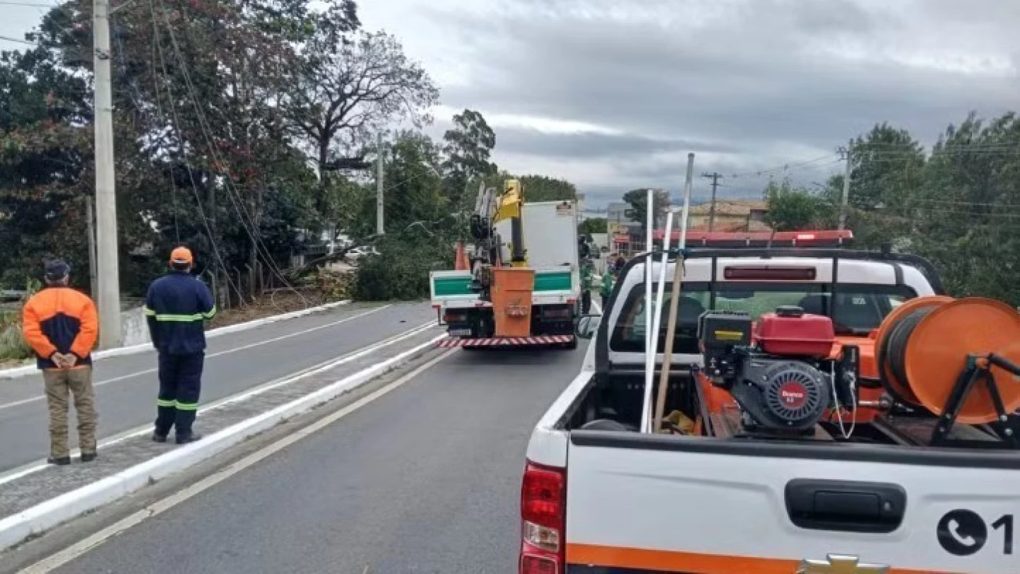 Queda de árvore de 25 metros bloqueia avenida e deixa moradores sem luz em Taubaté