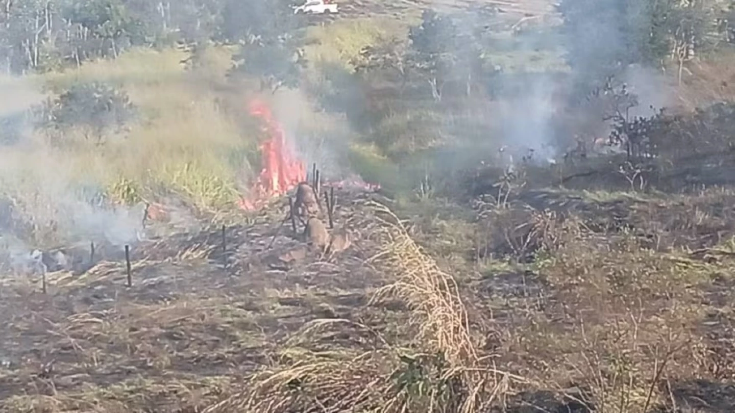 Incêndio de grandes proporções atinge área de 50 mil m² no Parque Itaim, em Taubaté
