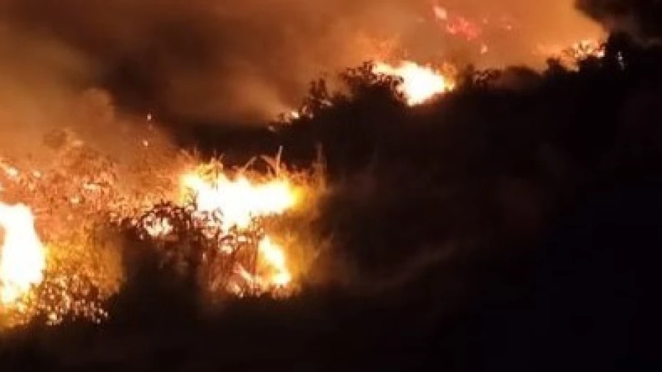 Incêndio atinge área de mata no Barreiro, em Taubaté Incêndio atinge área de mata no Barreiro, em Taubaté