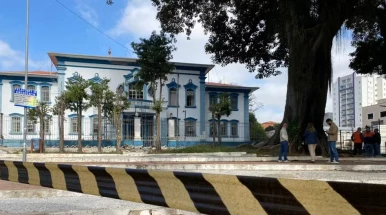Árvore centenária de 25 metros vai ser cortada após incêndio em Taubaté Árvore centenária de 25 metros vai ser cortada após incêndio em Taubaté