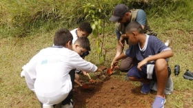Taubaté tem programação especial, plantio de árvores e doação de 1.000 mudas