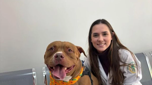 Clínica Veterinária UNITAU estende campanha de vacinação para cães e gatos até 31 de outubro