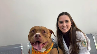 Clínica Veterinária UNITAU estende campanha de vacinação para cães e gatos até 31 de outubro Clínica Veterinária UNITAU estende campanha de vacinação para cães e gatos até 31 de outubro