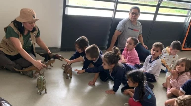 Museu de História Natural realiza oficina de escavação de fósseis para alunos do maternal Museu de História Natural realiza oficina de escavação de fósseis para alunos do maternal