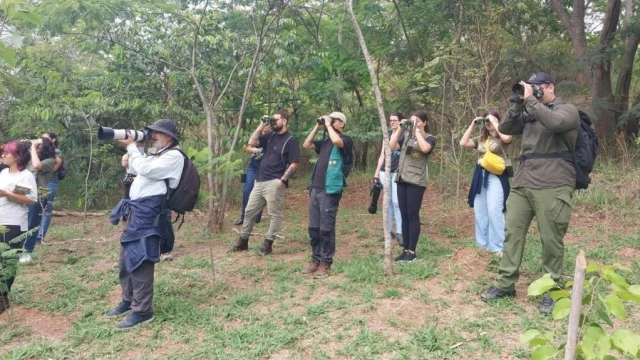 Taubaté recebe evento de avistamento de pássaros no Parque Vale do Itaim