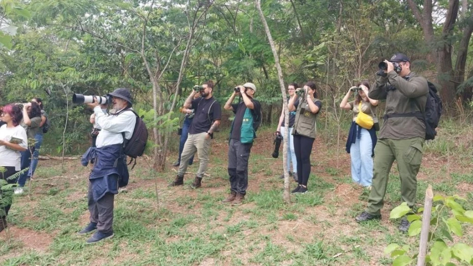 Taubaté recebe evento de avistamento de pássaros no Parque Vale do Itaim