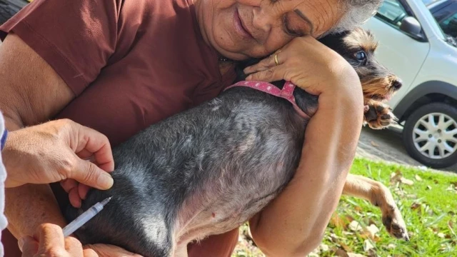 Prefeitura realiza vacinação antirrábica de cães e gatos no Jardim Maria Augusta