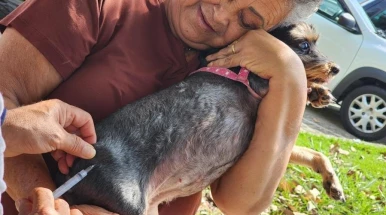 Prefeitura realiza vacinação antirrábica de cães e gatos no Jardim Maria Augusta