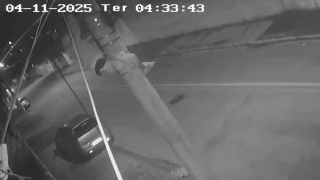Homem escala poste de energia e furta fiação elétrica em Taubaté