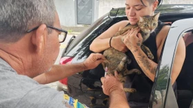Prefeitura realiza vacinação antirrábica de cães e gatos em Quiririm