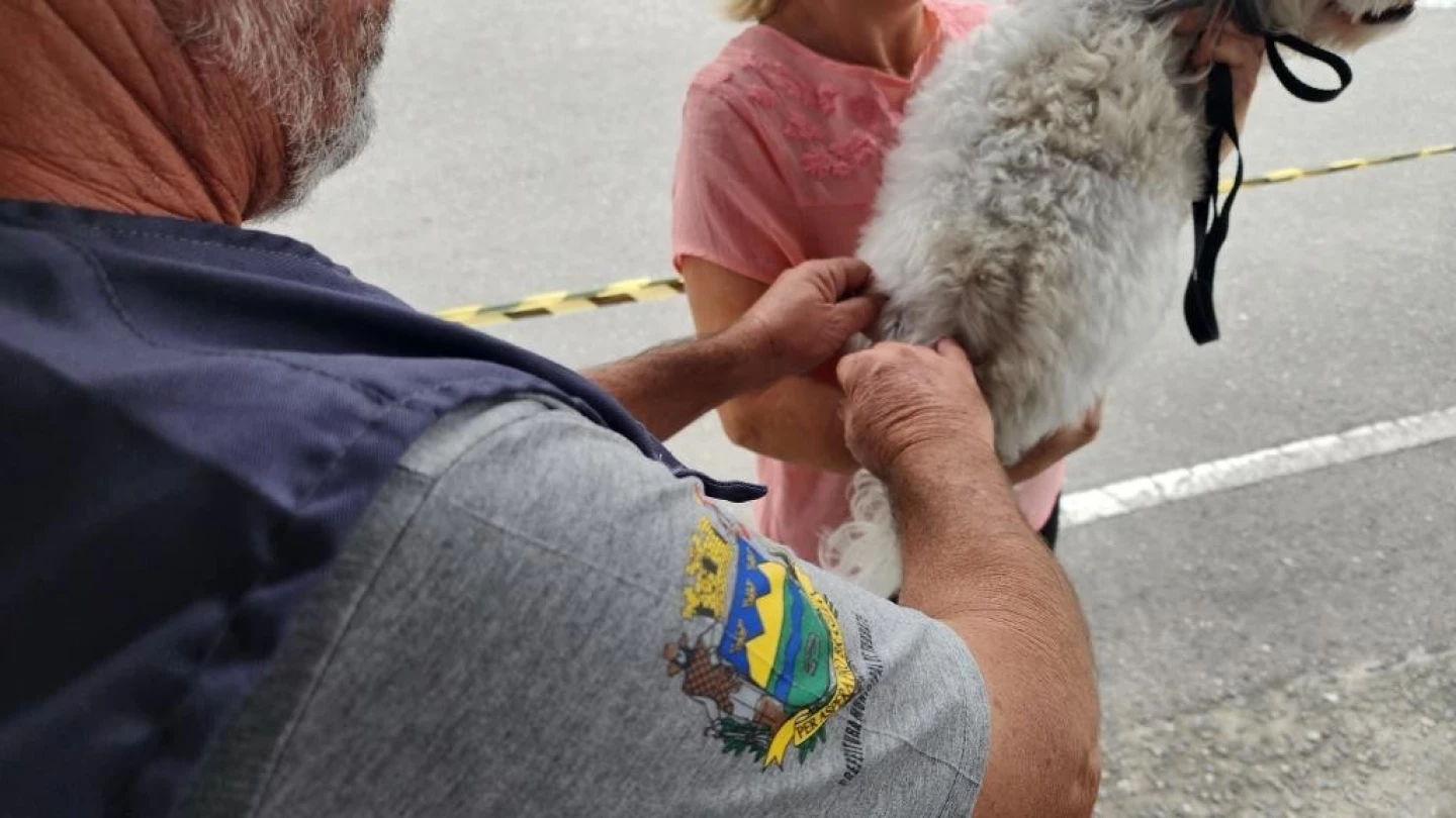 Prefeitura realiza vacinação antirrábica de cães e gatos no Cecap