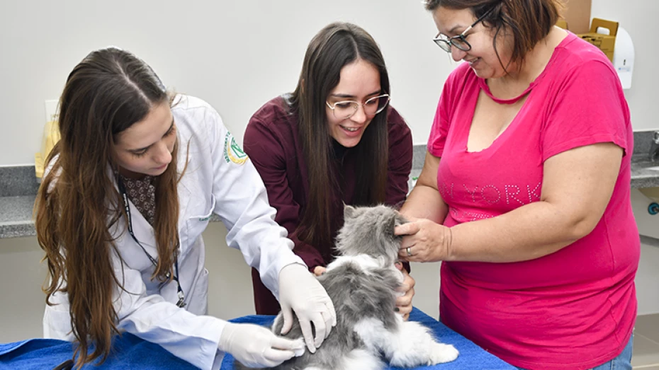 Clínica Veterinária da UNITAU retoma atividades com foco em saúde preventiva e atendimento especializado para pets e equinos