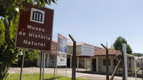 Museu de História Natural recebe palestra sobre catástrofes colossais