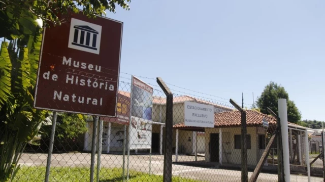 Museu de História Natural recebe palestra sobre catástrofes colossais
