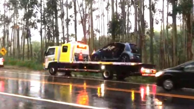 Homem e mulher ficam feridos após árvore cair sob carro na Rodovia Oswaldo Cruz, em Taubaté