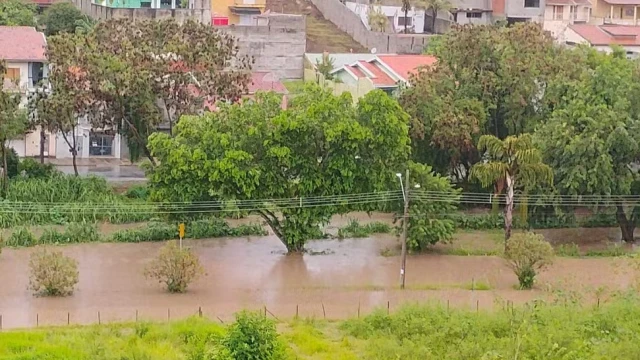 Rodovia Oswaldo Cruz fica alagada após chuva e Taubaté registra estragos