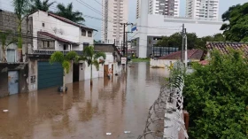 Temporal com ventos de até 80 km/h alaga casas, derruba árvores e provoca estragos em Taubaté