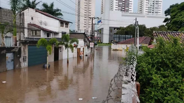 Temporal com ventos de até 80 km/h alaga casas, derruba árvores e provoca estragos em Taubaté