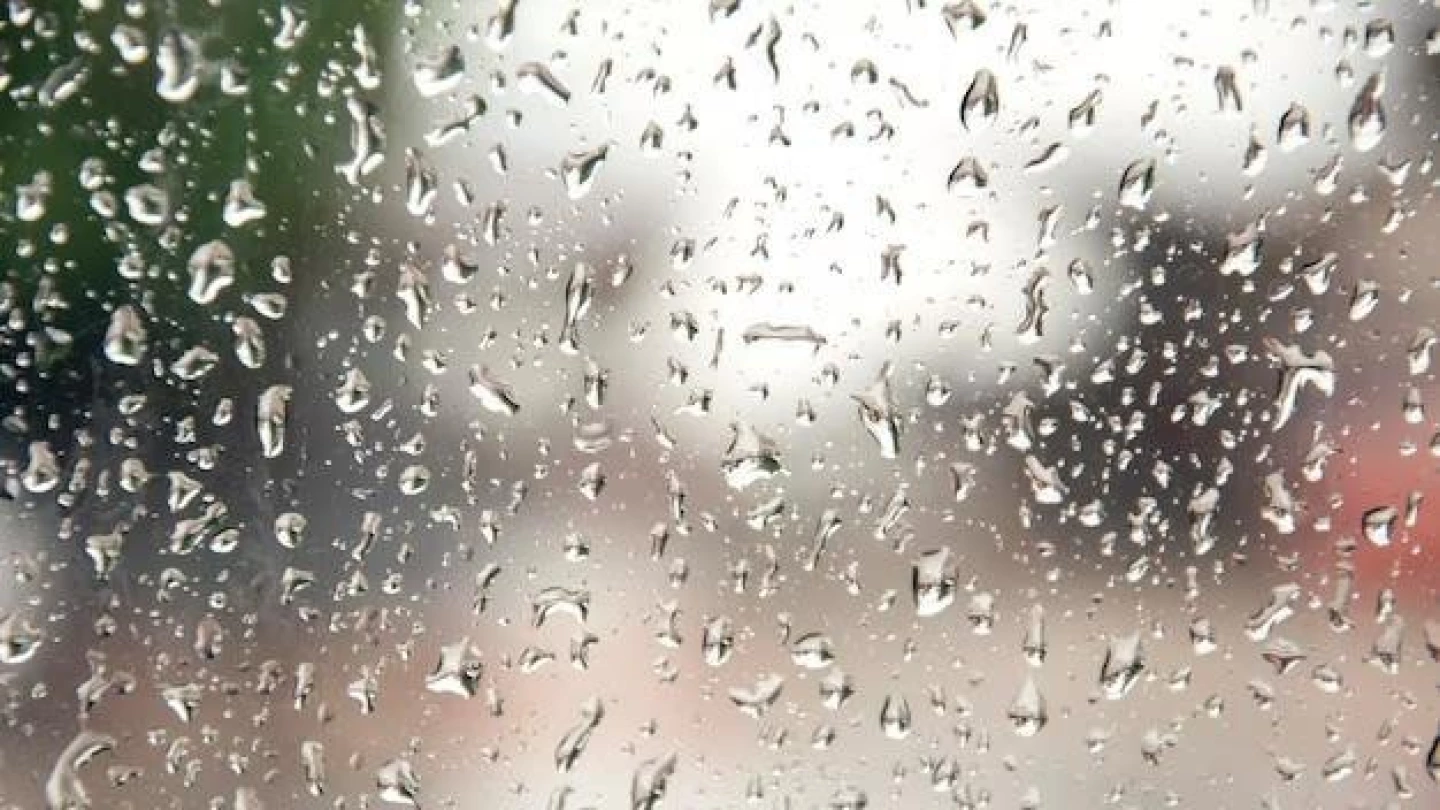 Taubaté registra em um dia 62% do volume de chuvas de todo mês de fevereiro em 2025