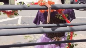 Enxame de abelhas se forma em manequim no Shopping Popular de Taubaté