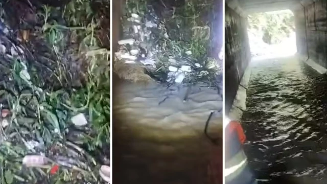 Massa de lixo e vegetação entope tubulação e bloqueia vazão da água em córrego de Taubaté