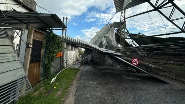 Chuva em Taubaté causa quedas de árvore e de estruturas de escola