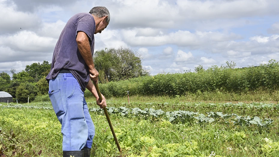 Primeira Feira da Agricultura Familiar da UNITAU acontece na próxima terça-feira (3)