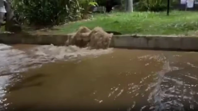 Vazamento de água atinge a Praça Santa Terezinha, no centro de Taubaté
