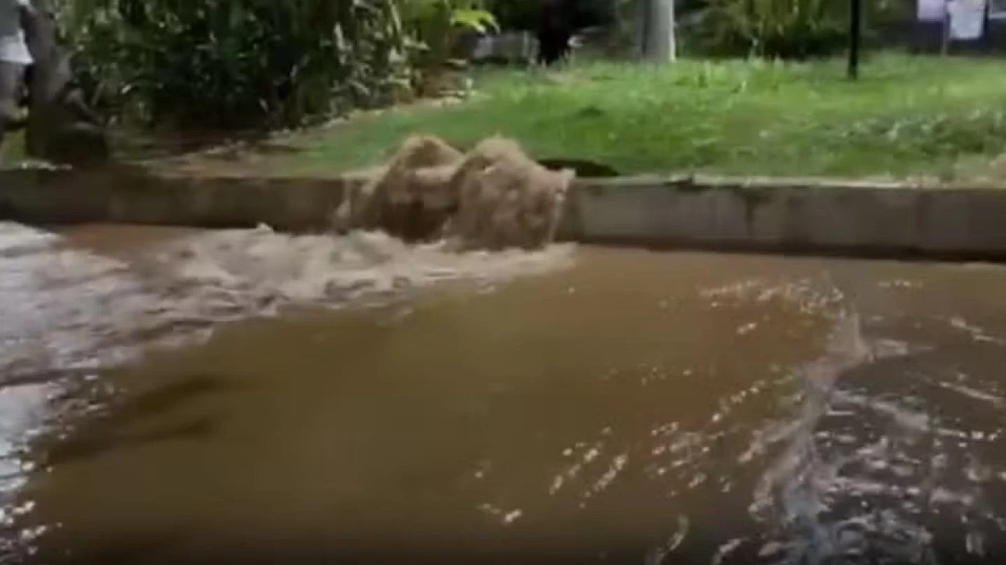 Vazamento de água atinge a Praça Santa Terezinha, no centro de Taubaté