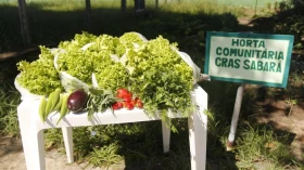 Cras Sabará realiza oficina de horta comunitária nesta terça-feira (17) em Taubaté