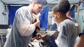 Prefeitura realiza mutirão de castração de cães e gatos nesta sexta e sábado