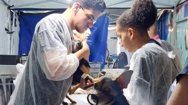 Prefeitura realiza mutirão de castração de cães e gatos nesta sexta e sábado