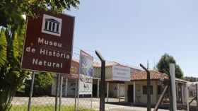 Museu de História Natural promove noite de observação astronômica nesta sexta-feira (27)