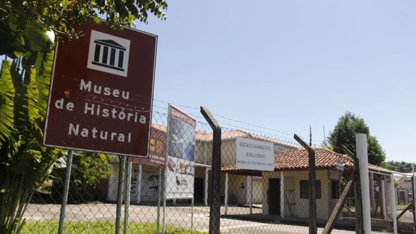 Museu de História Natural promove noite de observação astronômica nesta sexta-feira (27)