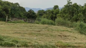 Corpo de homem é encontrado amarrado a árvore em área de mata em Taubaté