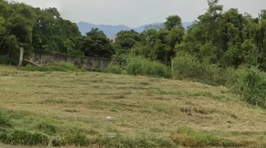 Corpo de homem é encontrado amarrado a árvore em área de mata em Taubaté